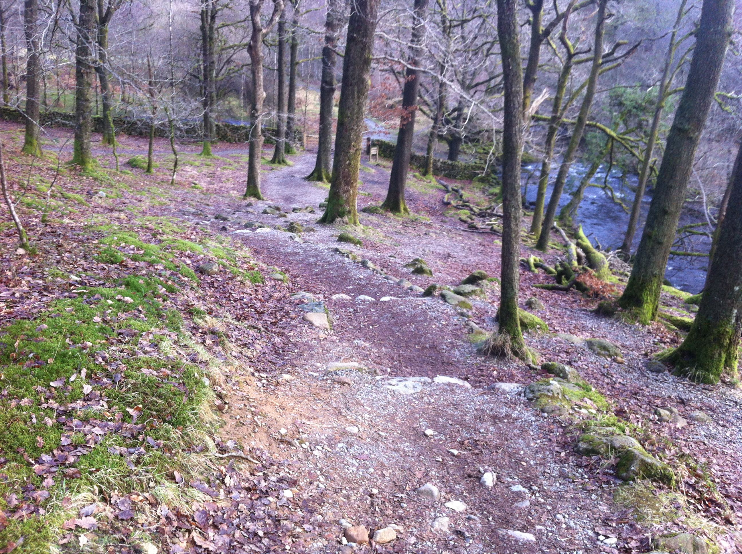 Steep pathway