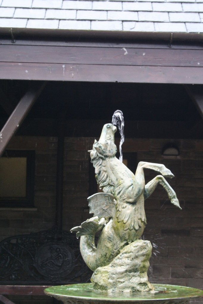 Horse close detail