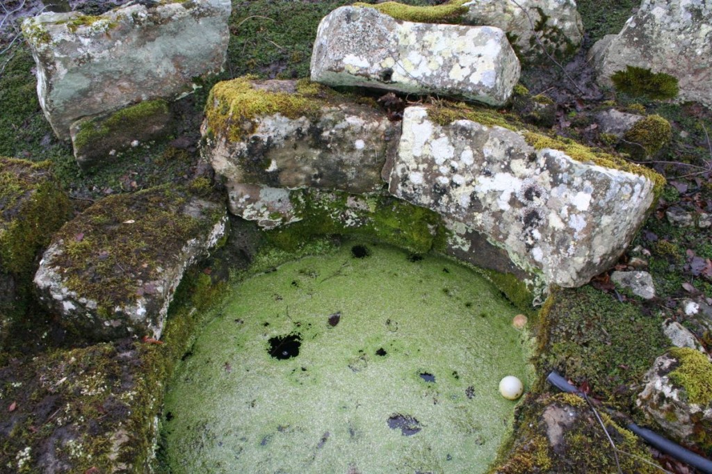 natural wells that dot the site